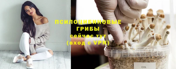 молекула духа Баксан